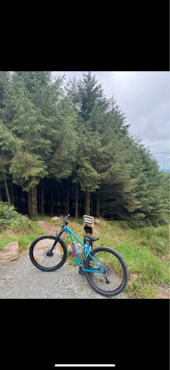 Bike trek roscoe mtb m size - Image 2
