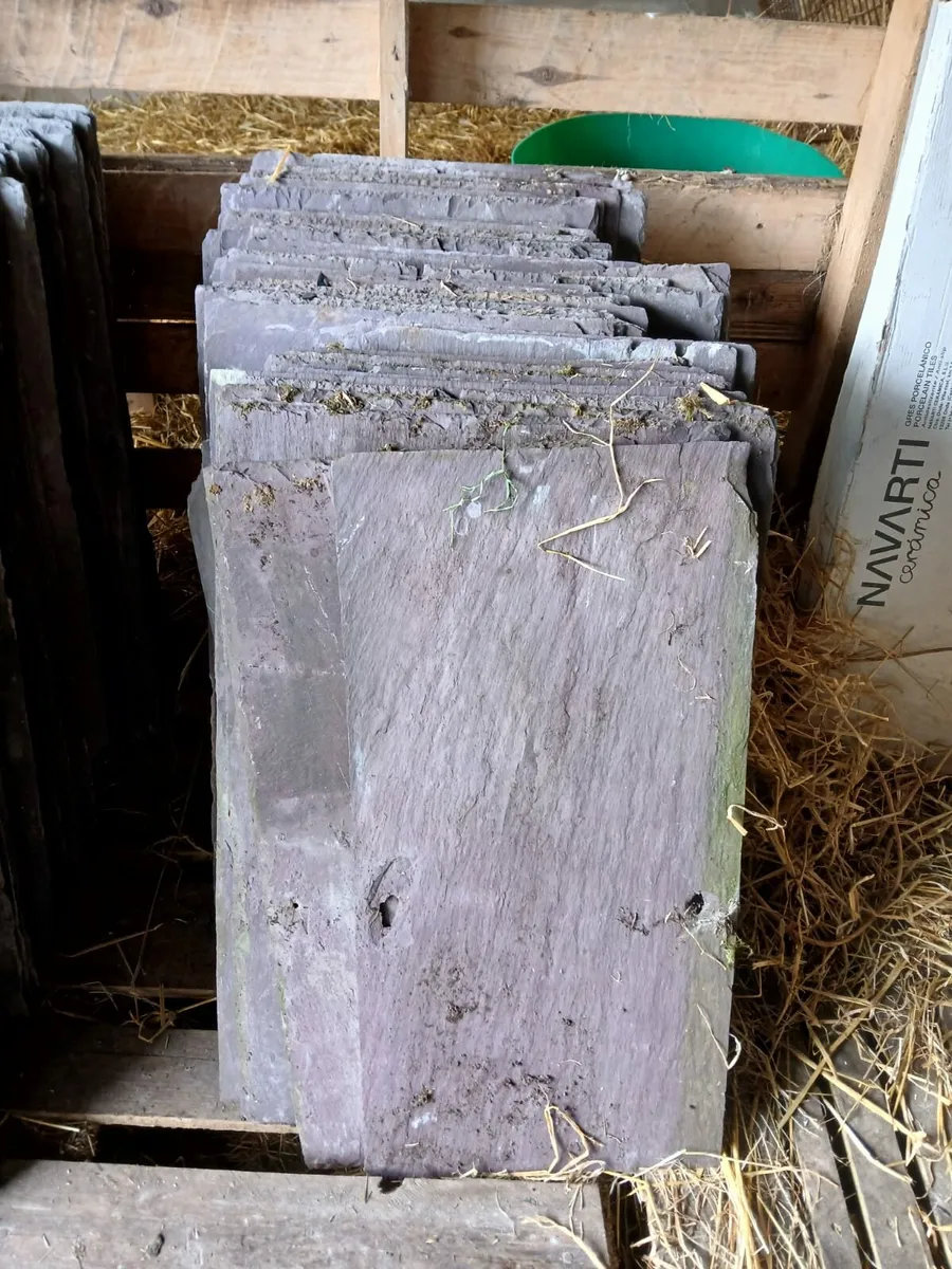 Bangor slates chimney pots floor ridge roof tiles - Image 2