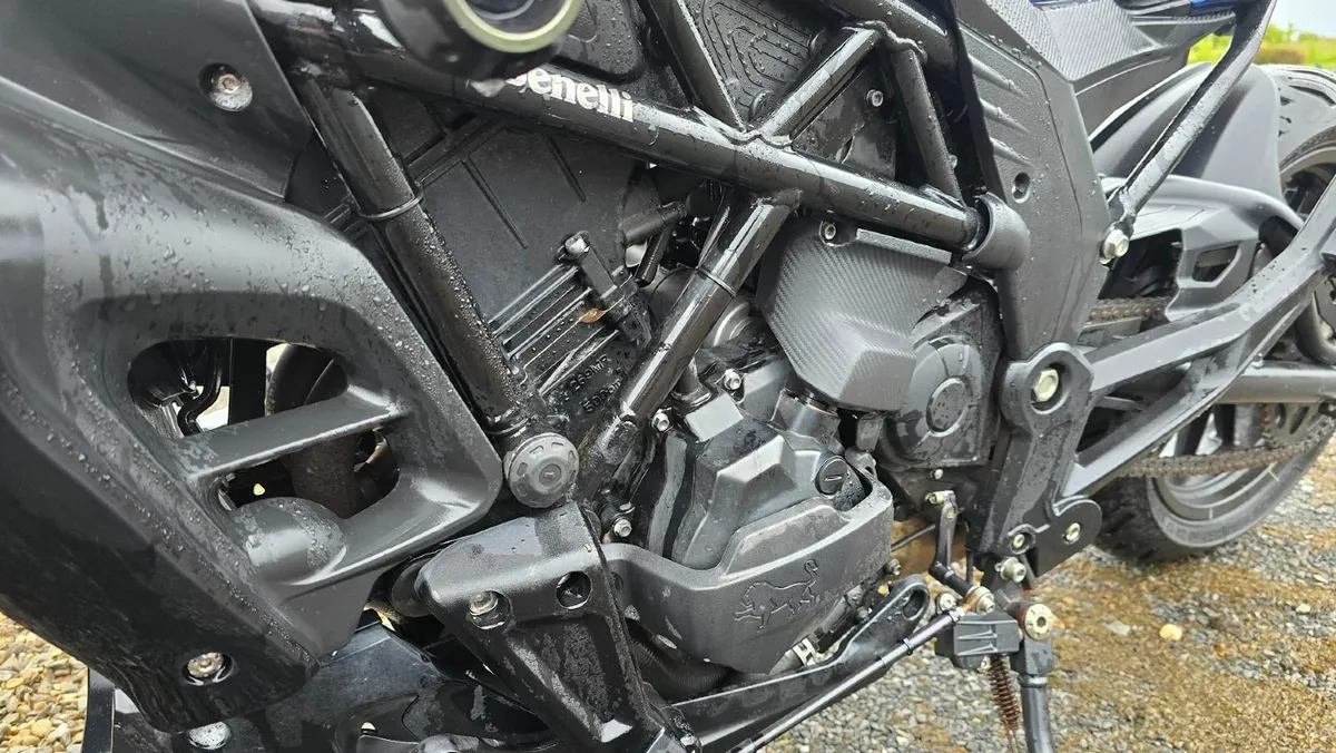BENELLI 502C blue 2021 - Image 2