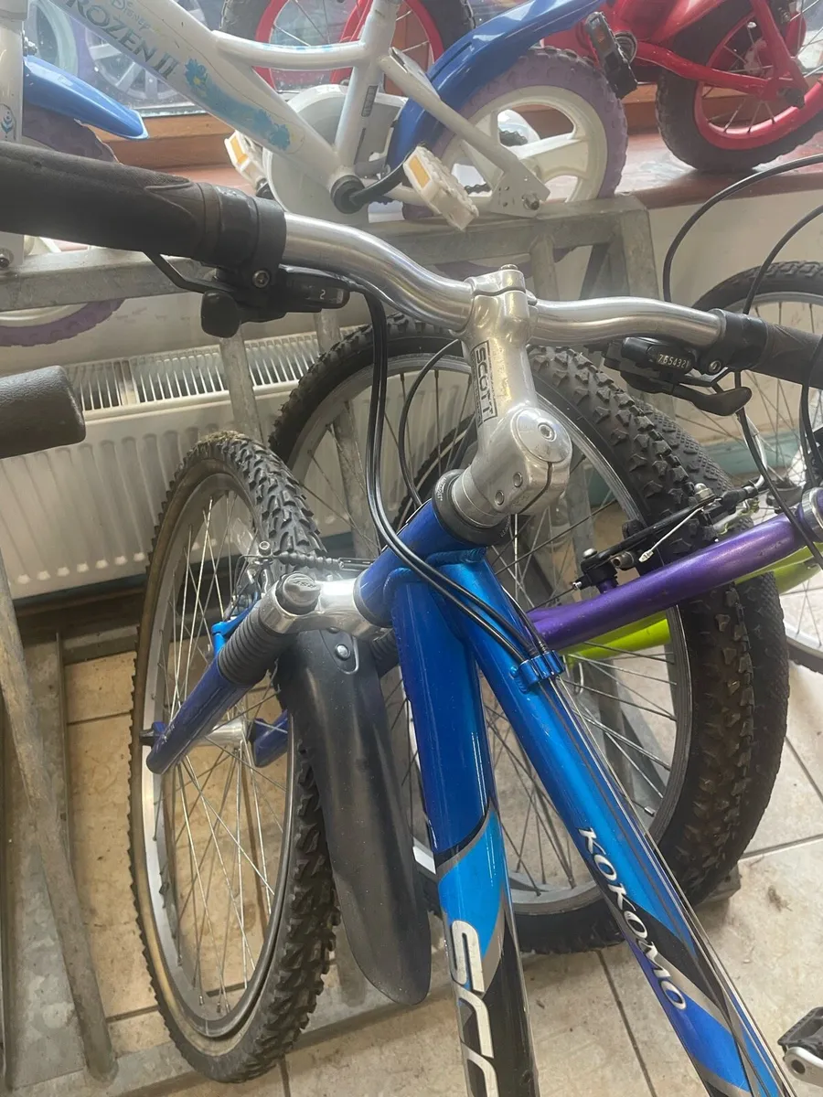 Bicycle - Image 3