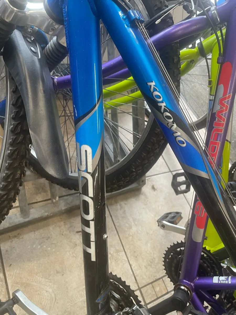 Bicycle - Image 4