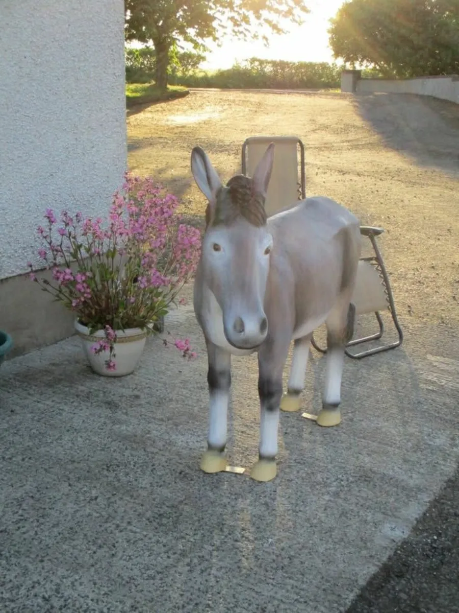 Life-Size Fibreglass Donkey - Image 2