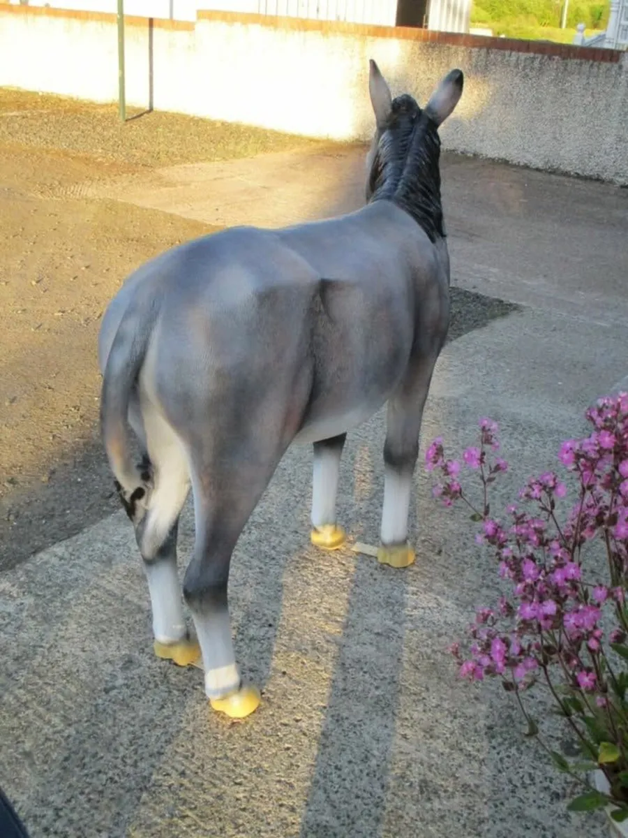 Life-Size Fibreglass Donkey - Image 4