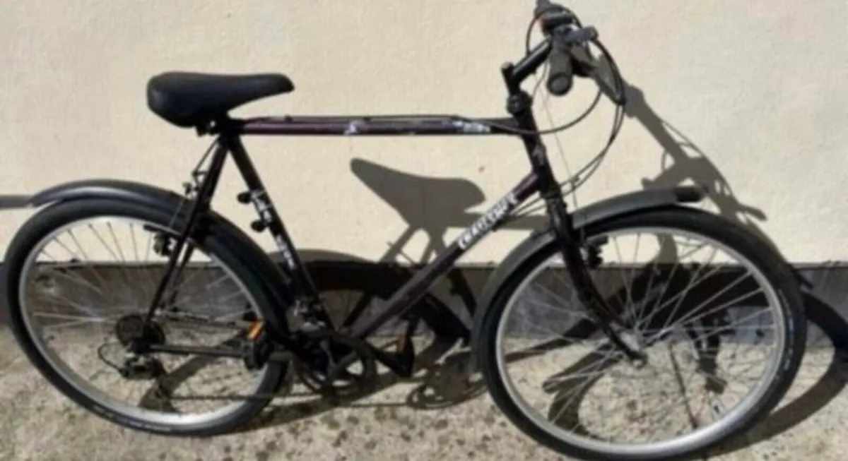 Mountain bike
