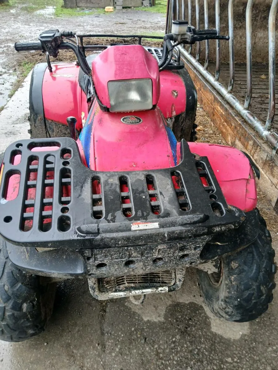 Quad bike - Image 2