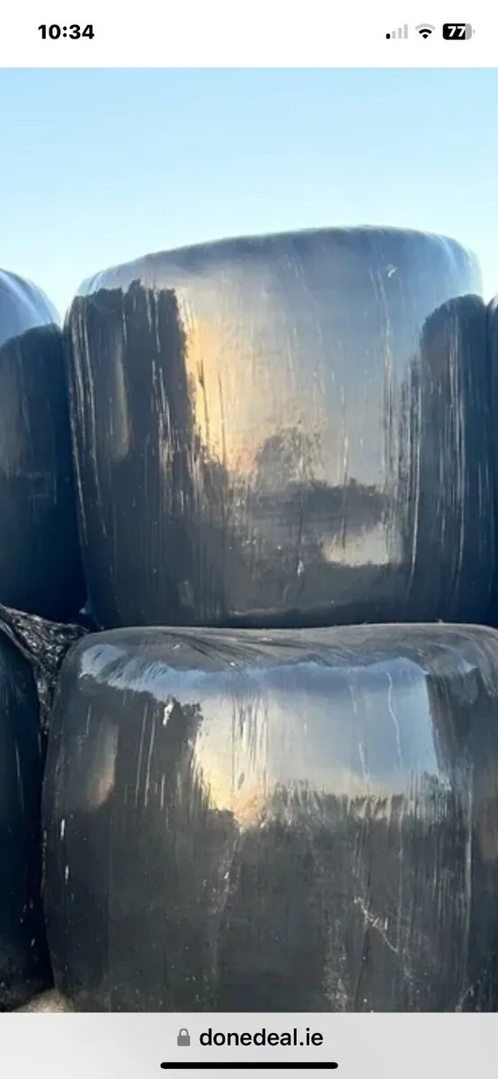 Silage