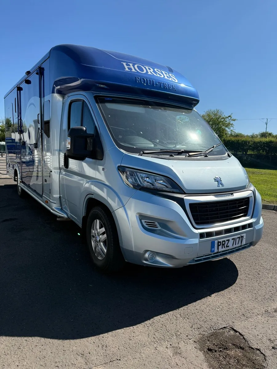 Peugeot Citroen fiat horse box - Image 1