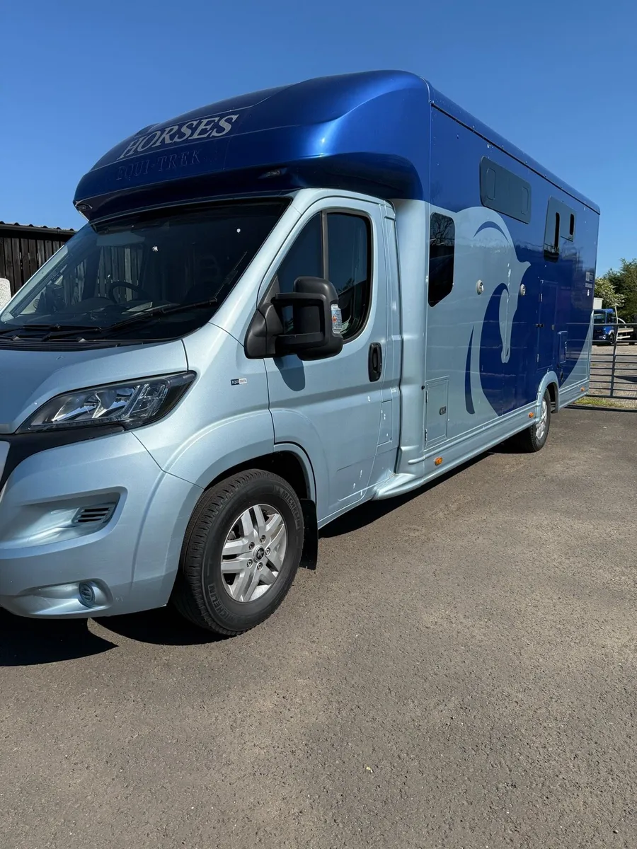 Peugeot Citroen fiat horse box - Image 2
