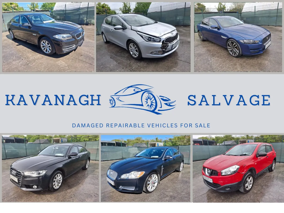 ****FOUR WEEK SALE NOW ON EVERYTHING REDUCED **** - Image 3