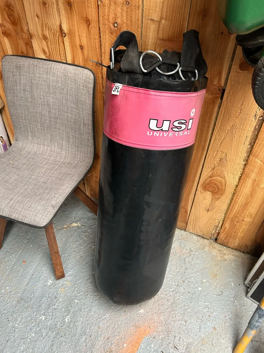 Punchbag - Image 1