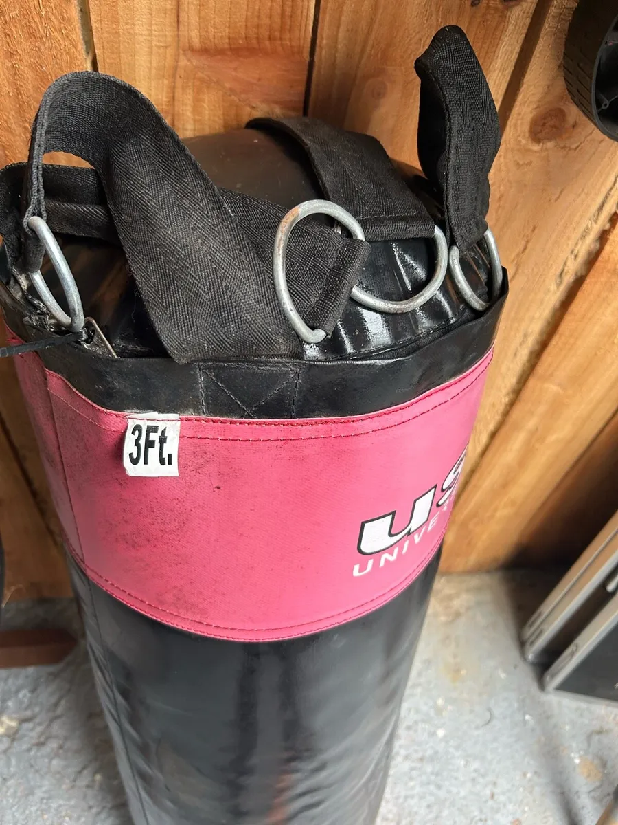 Punchbag - Image 2