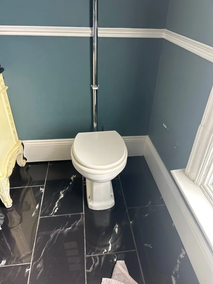 Toilet & Cistern - Image 3