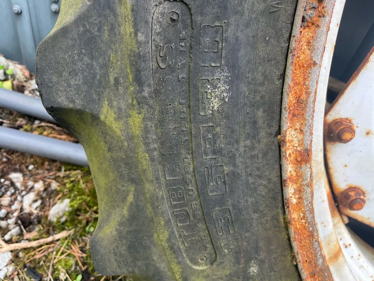 38” Ford wheels - Image 4