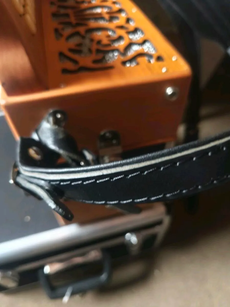 Accordion - Image 4