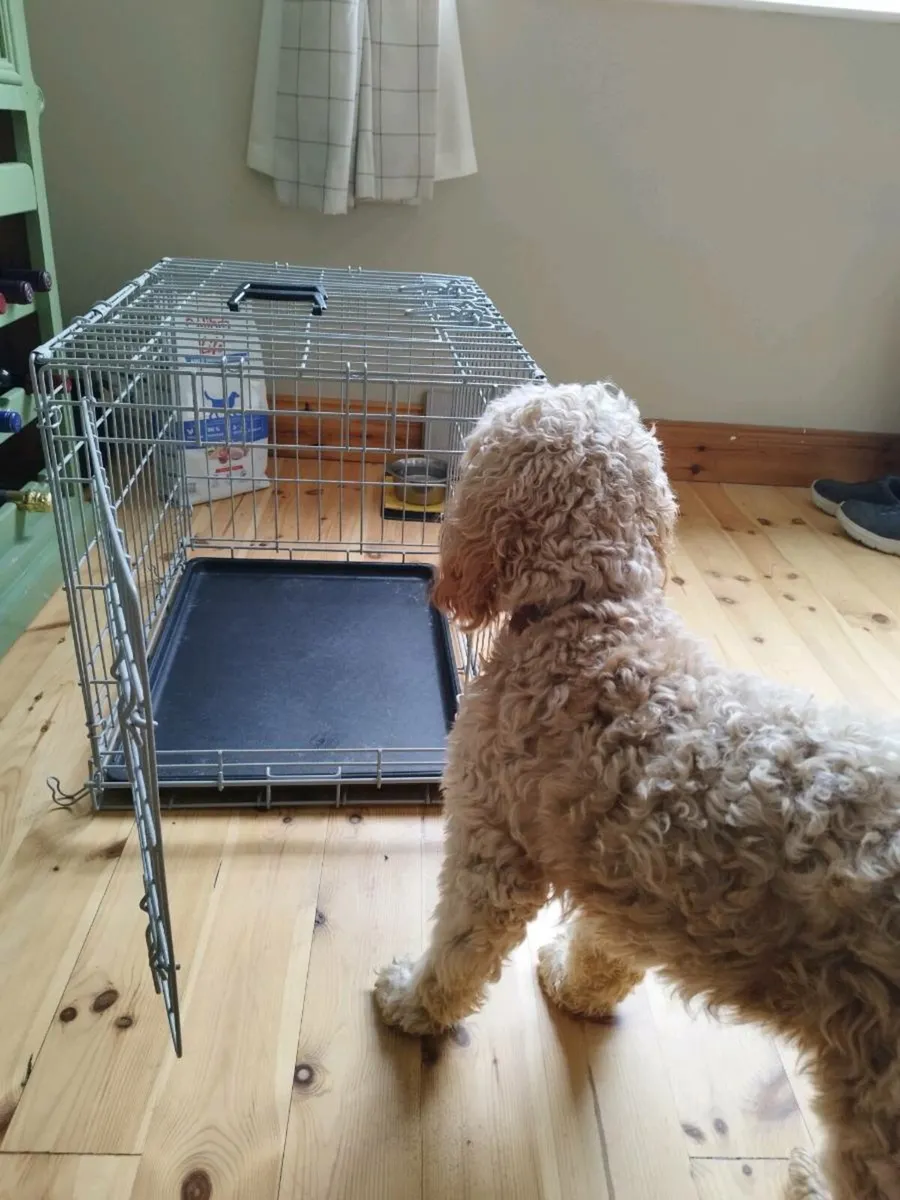 Dog crate - Image 2