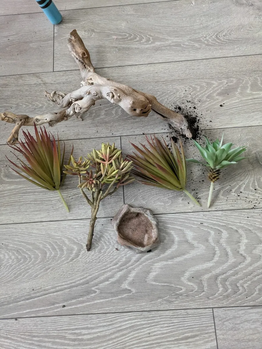Exo Terra 45x45x45 Glass Terrarium - Image 2