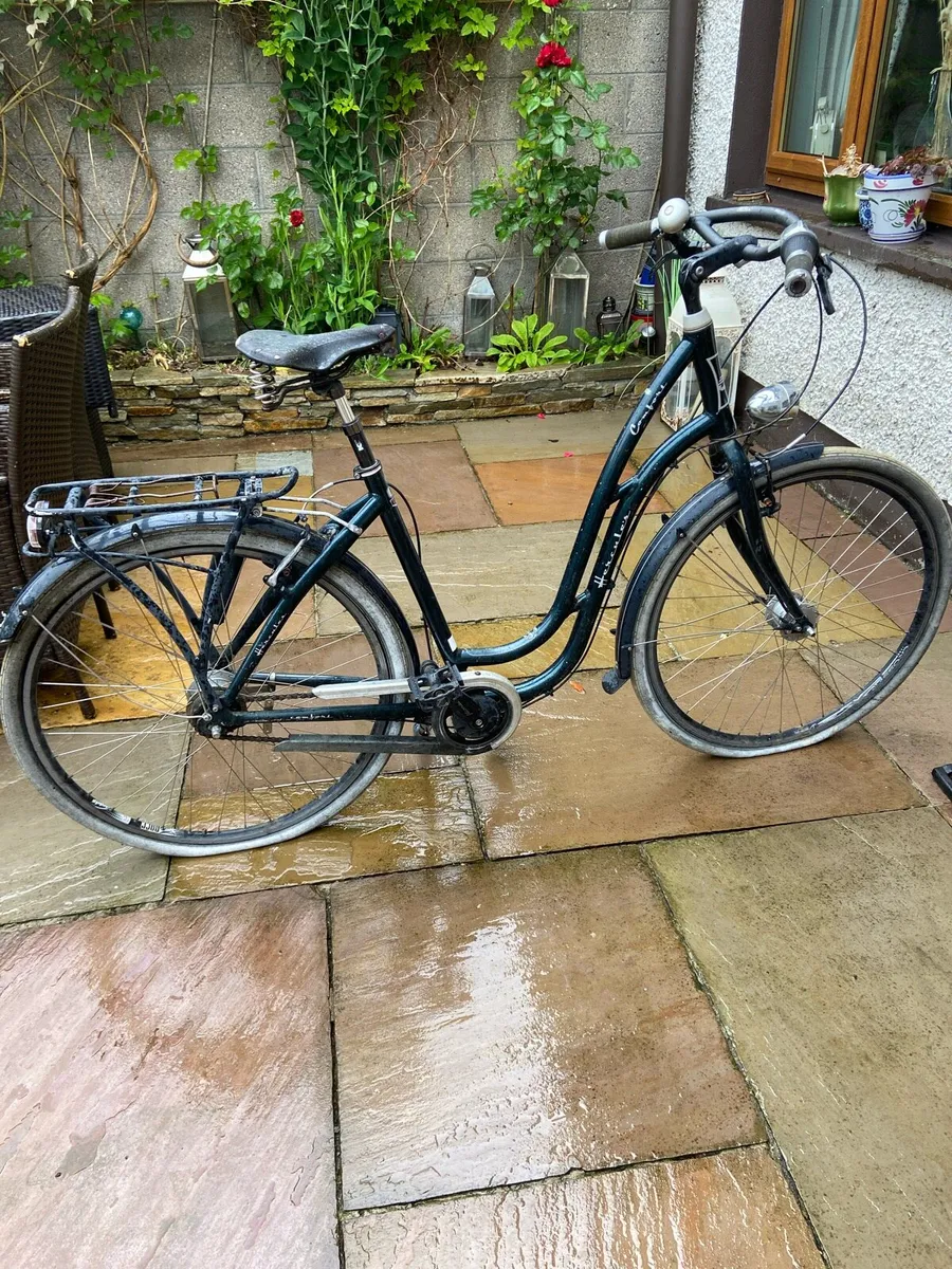 Lady’s.  Bicycle - Image 1