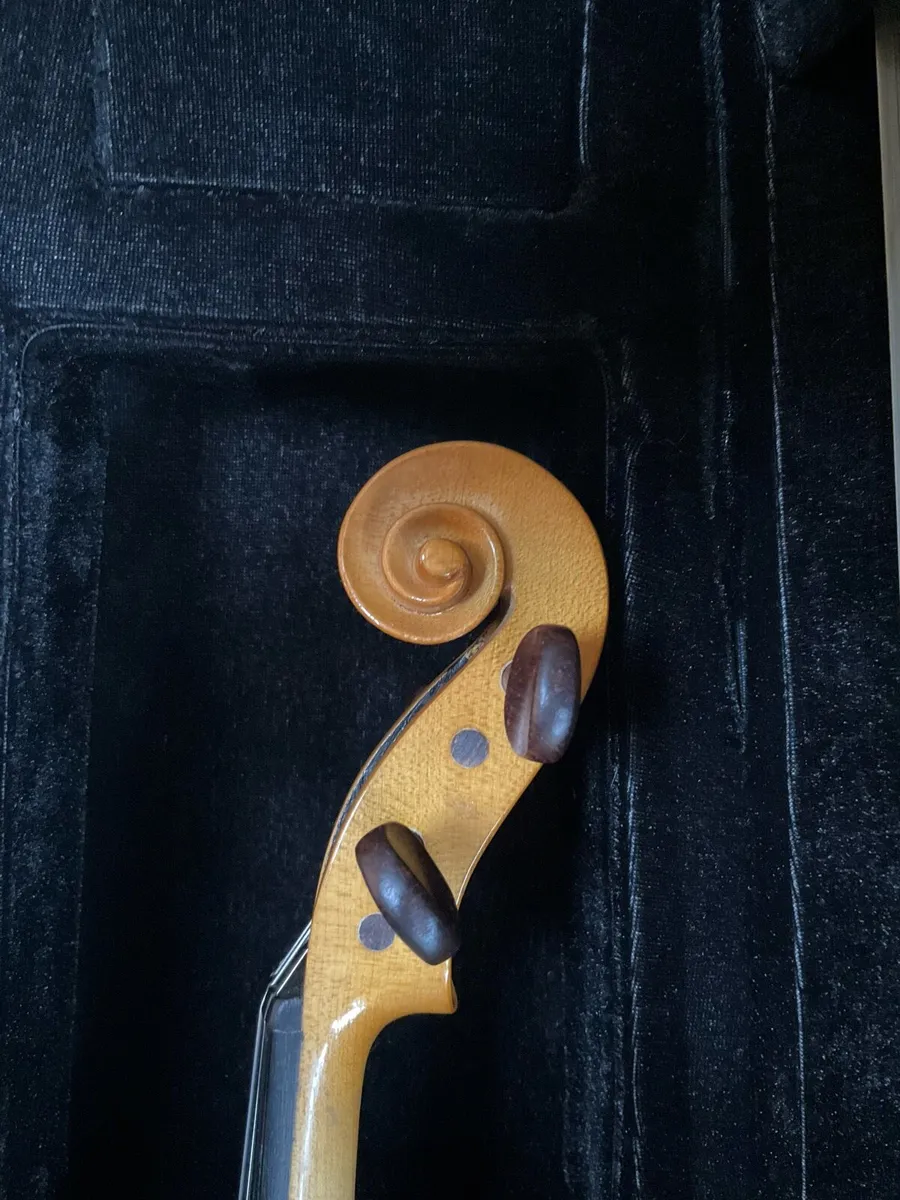 Outstanding violin by Reghin + case + bow - Image 2