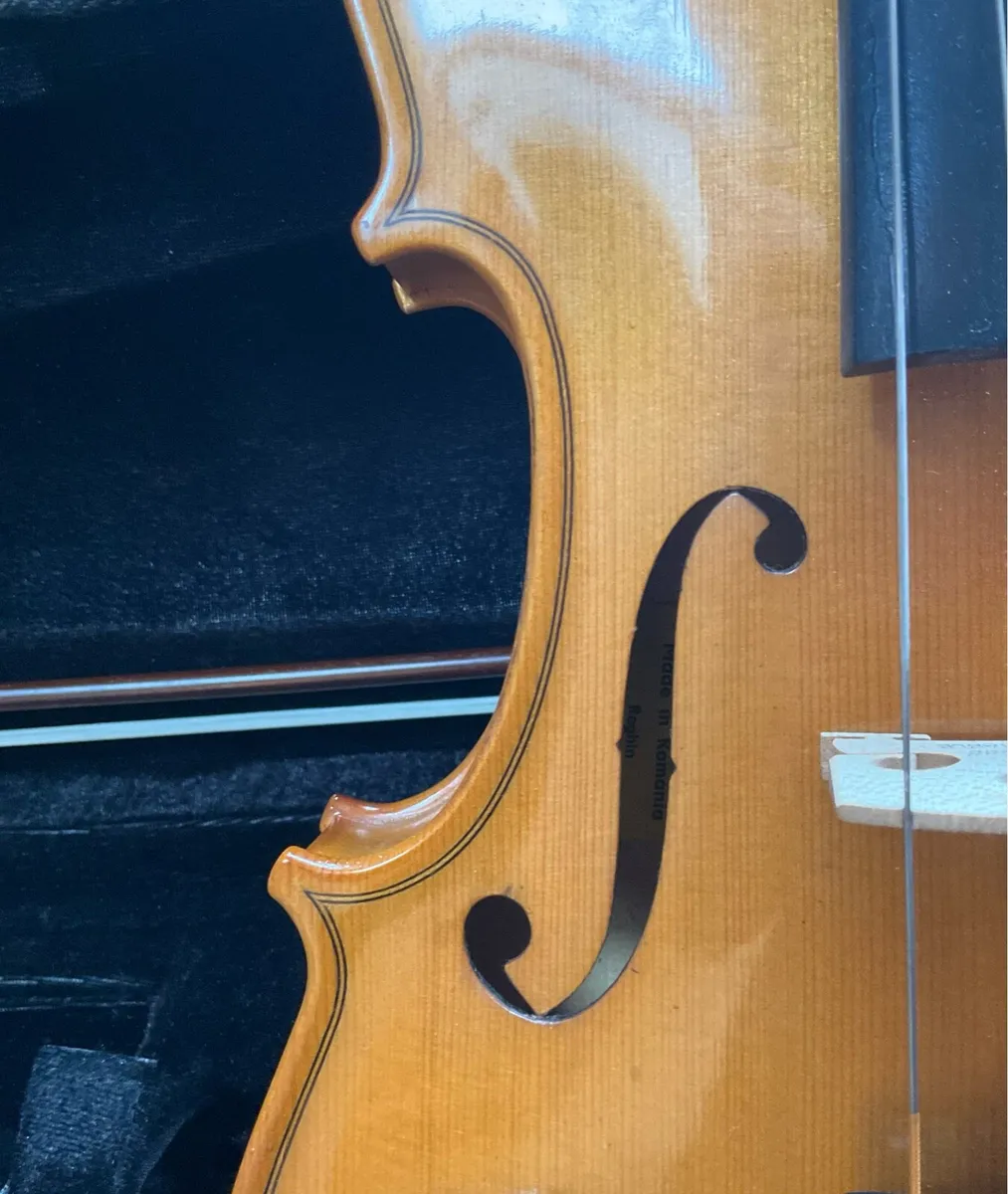 Outstanding violin by Reghin + case + bow - Image 3