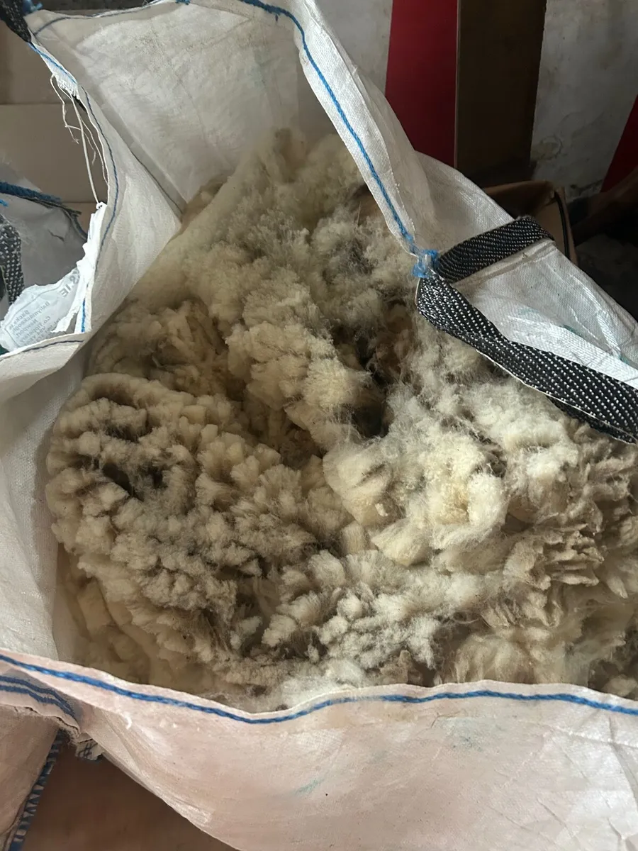 Alpaca wool - Image 1