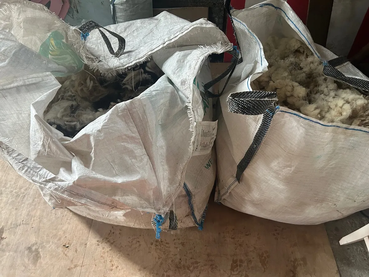 Alpaca wool - Image 3