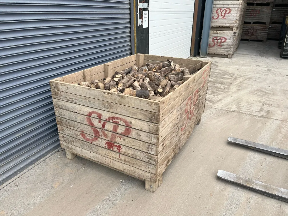 Potato boxes - Image 2