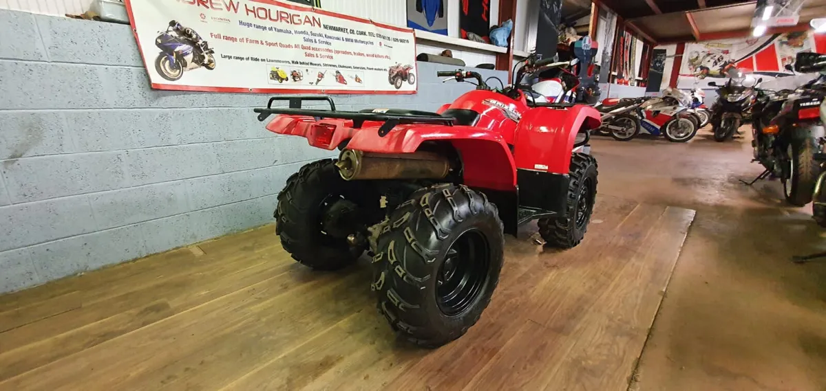 Yamaha YFM 350 Grizzly - Image 3