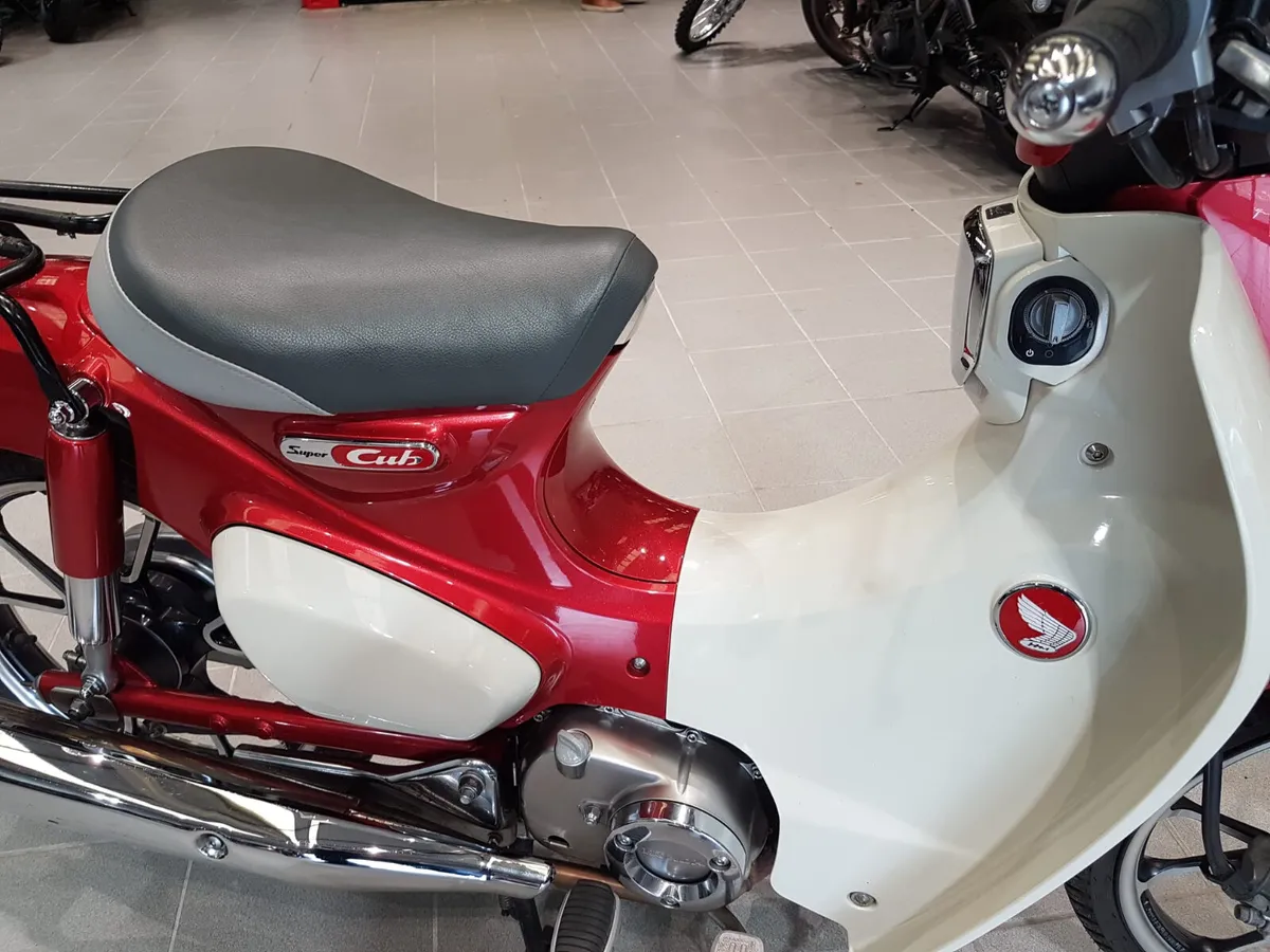 Honda C125 Cub - Image 4