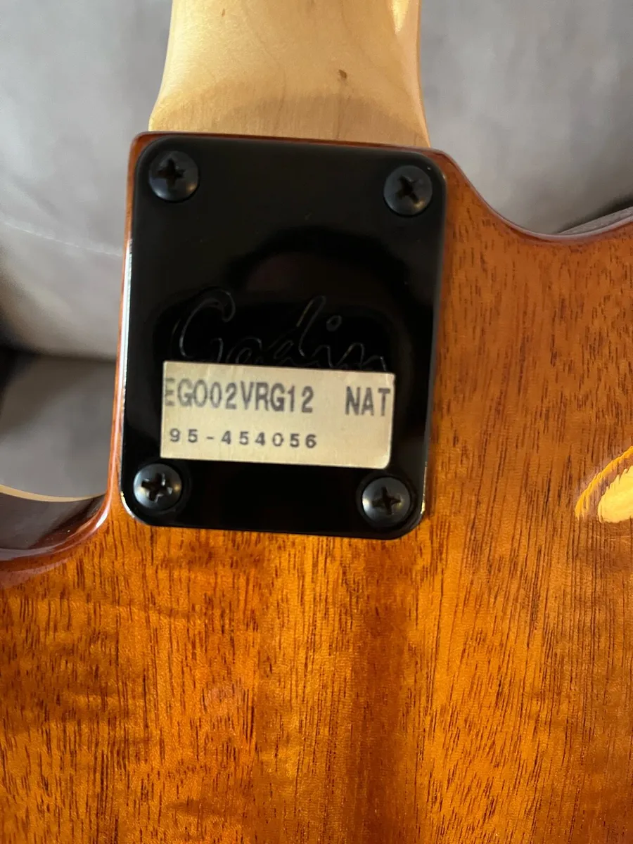 Godin acousticaster - Image 4