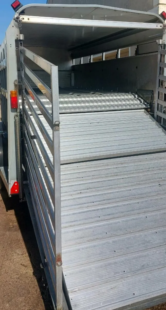 Sheep/cattle trailer decks 12x6 - Image 2