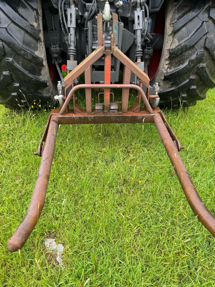Mckenna Bale handler - Image 2