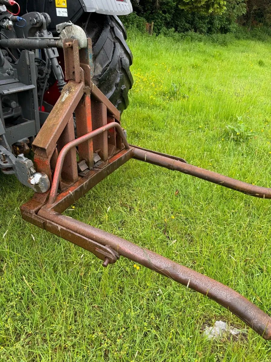 Mckenna Bale handler - Image 1
