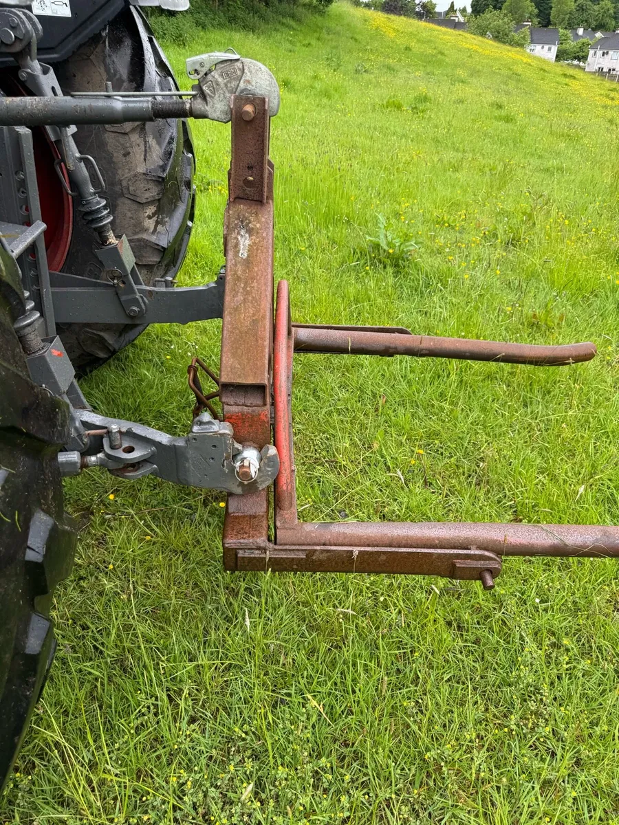 Mckenna Bale handler - Image 3