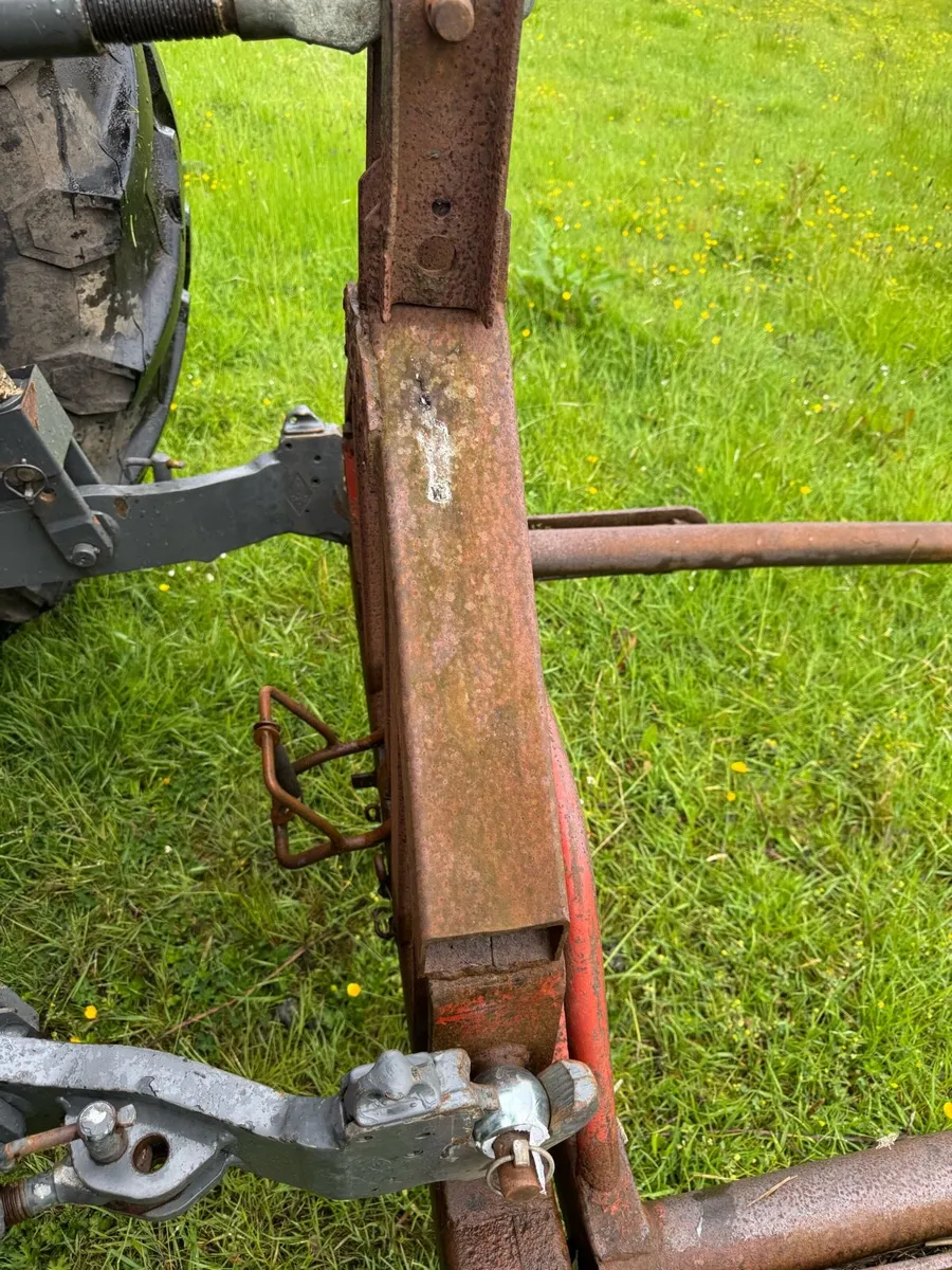 Mckenna Bale handler - Image 4