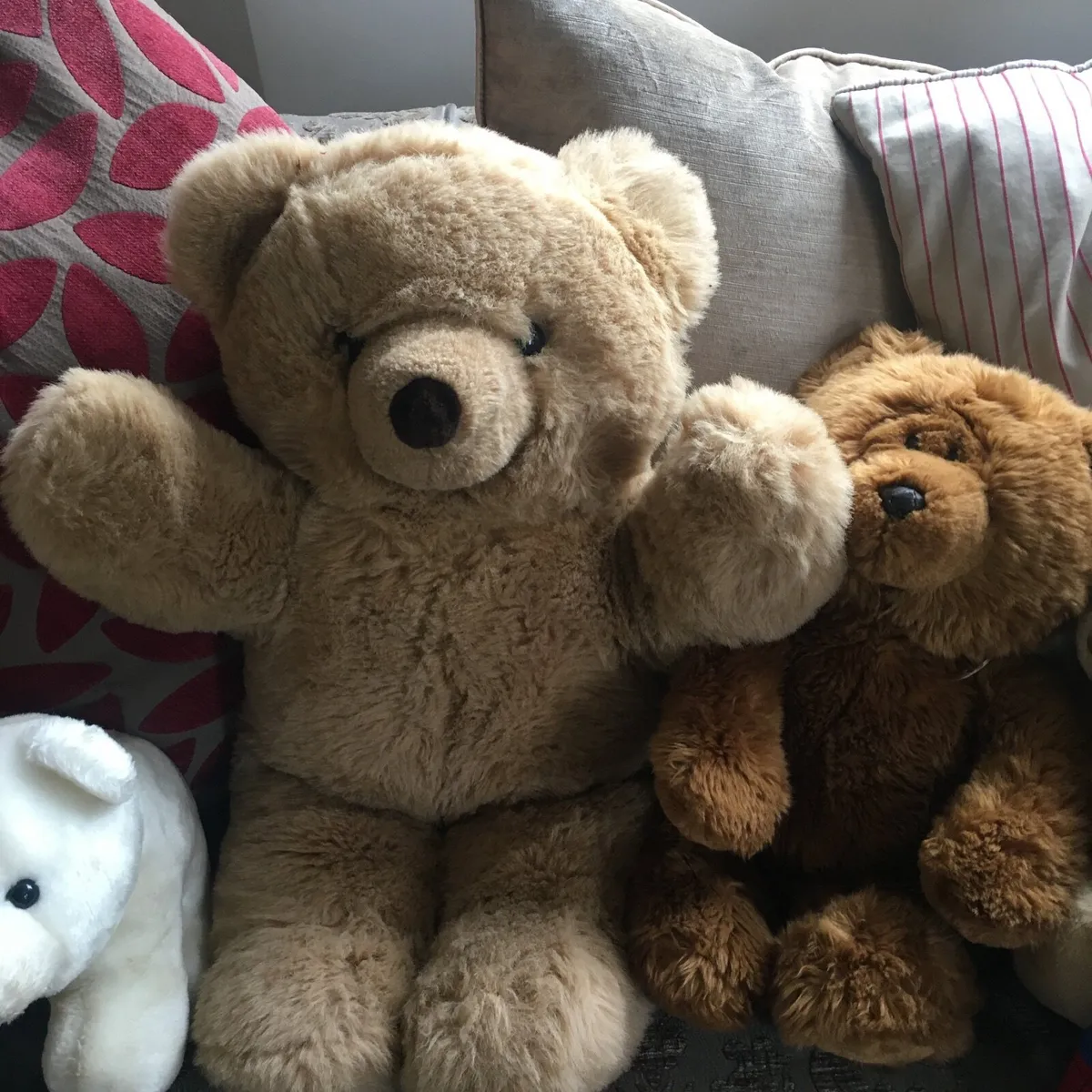 Teddy’s - Image 2