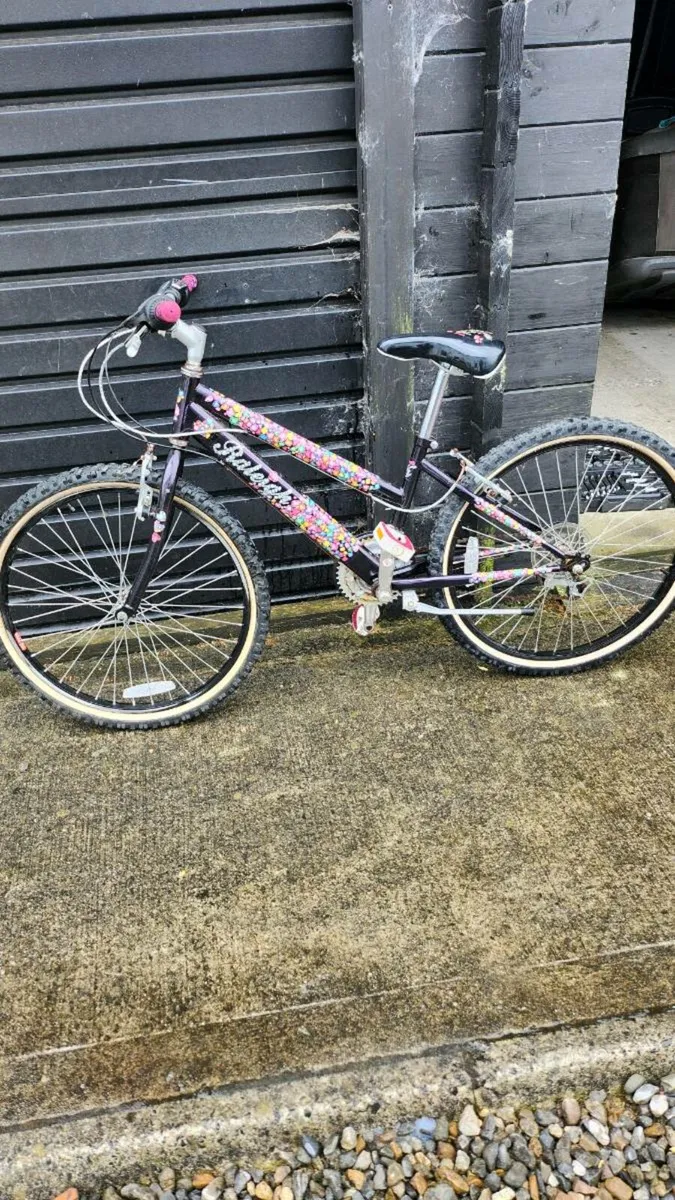 Raleigh Mountain bike - Image 1