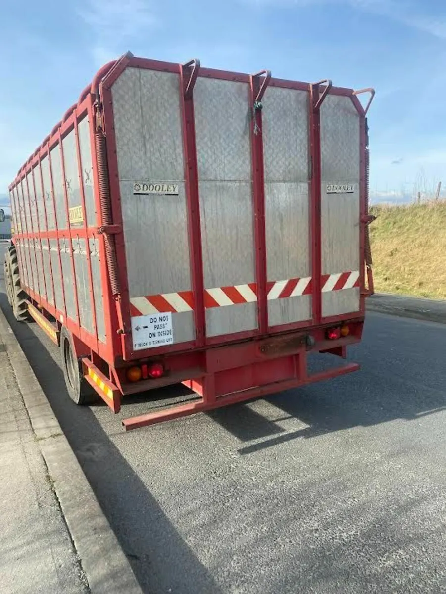 Dooley cattle trailer - Image 3