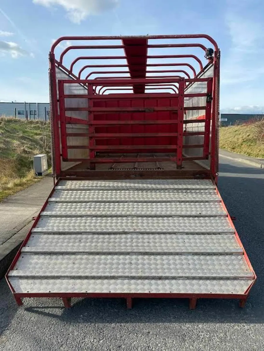 Dooley cattle trailer - Image 4
