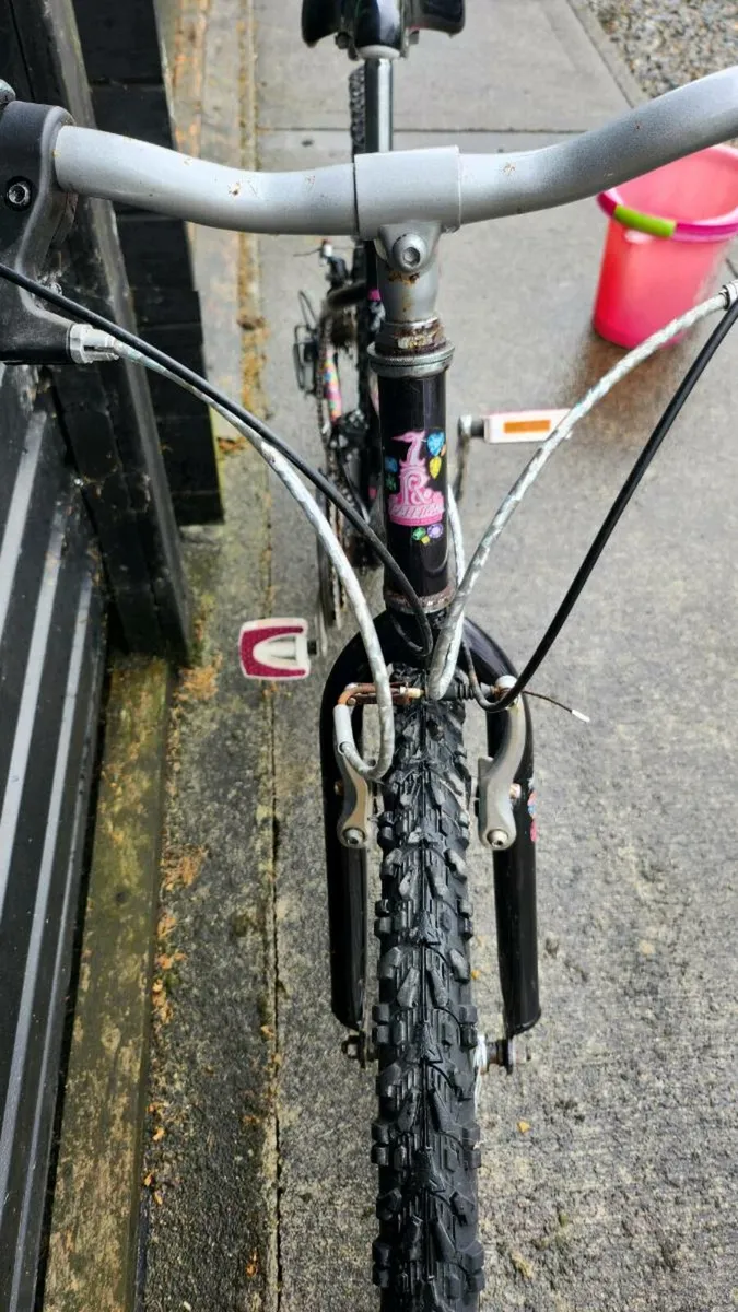 Raleigh Mountain bike - Image 2