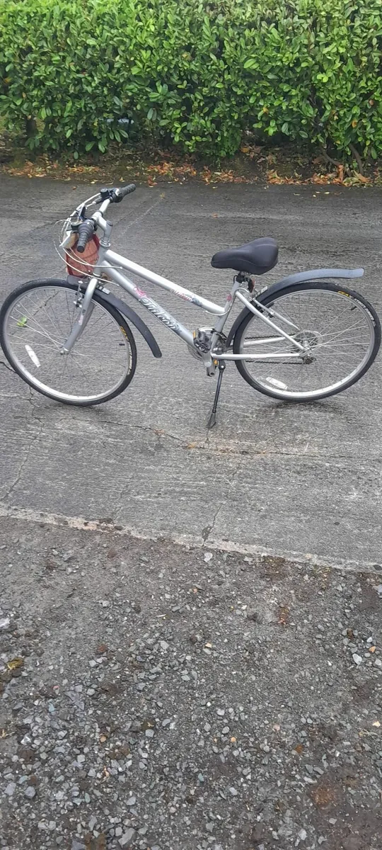 Bicycle - Image 2