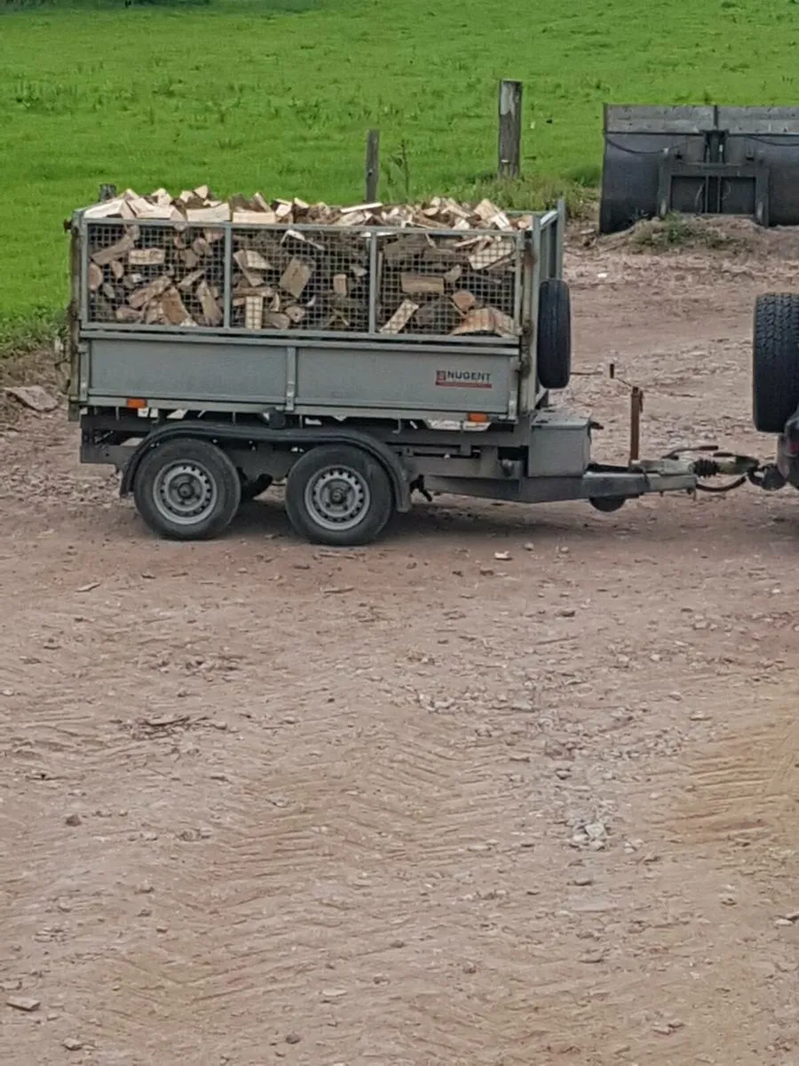 Firewood. Trailer load. - Image 2