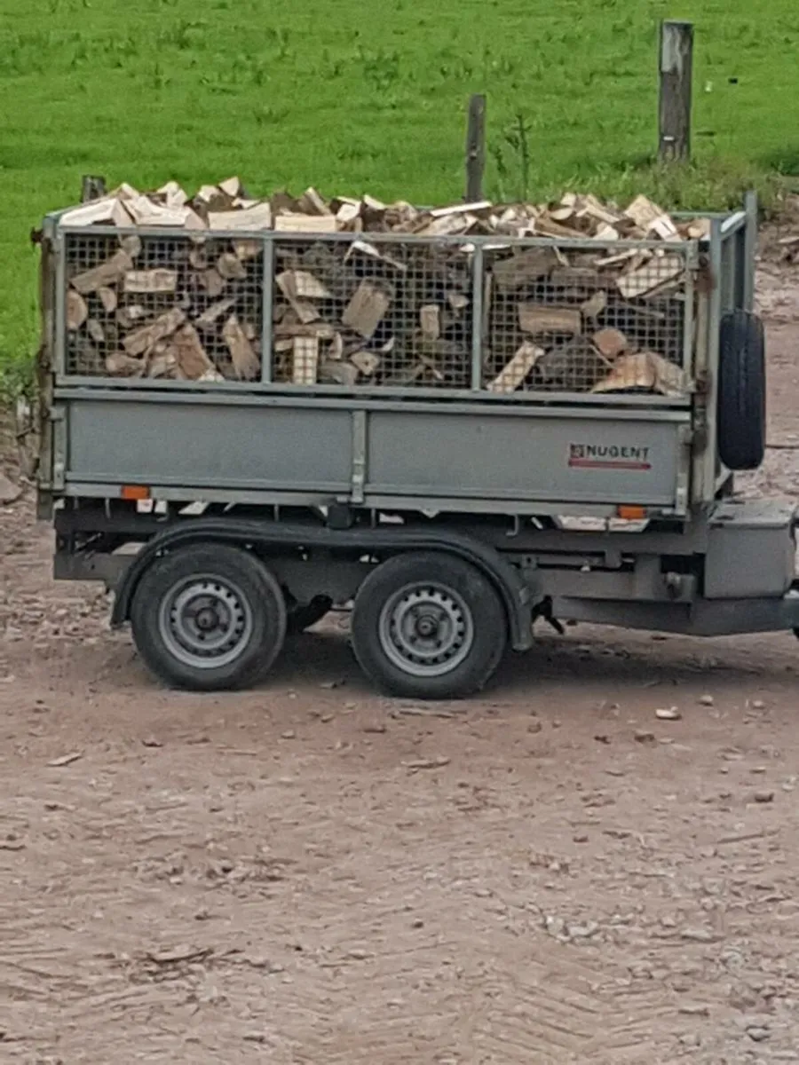 Firewood. Trailer load. - Image 1