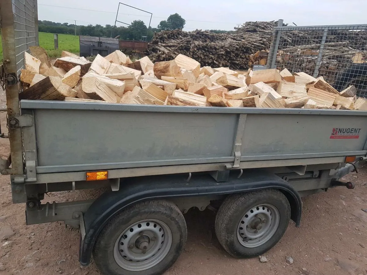 Firewood. Trailer load. - Image 3