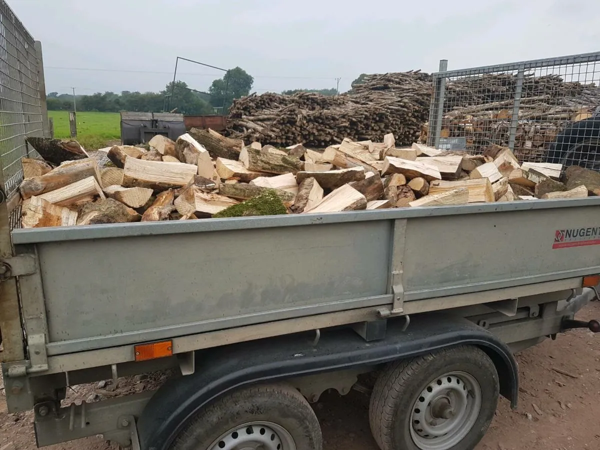 Firewood. Trailer load. - Image 4
