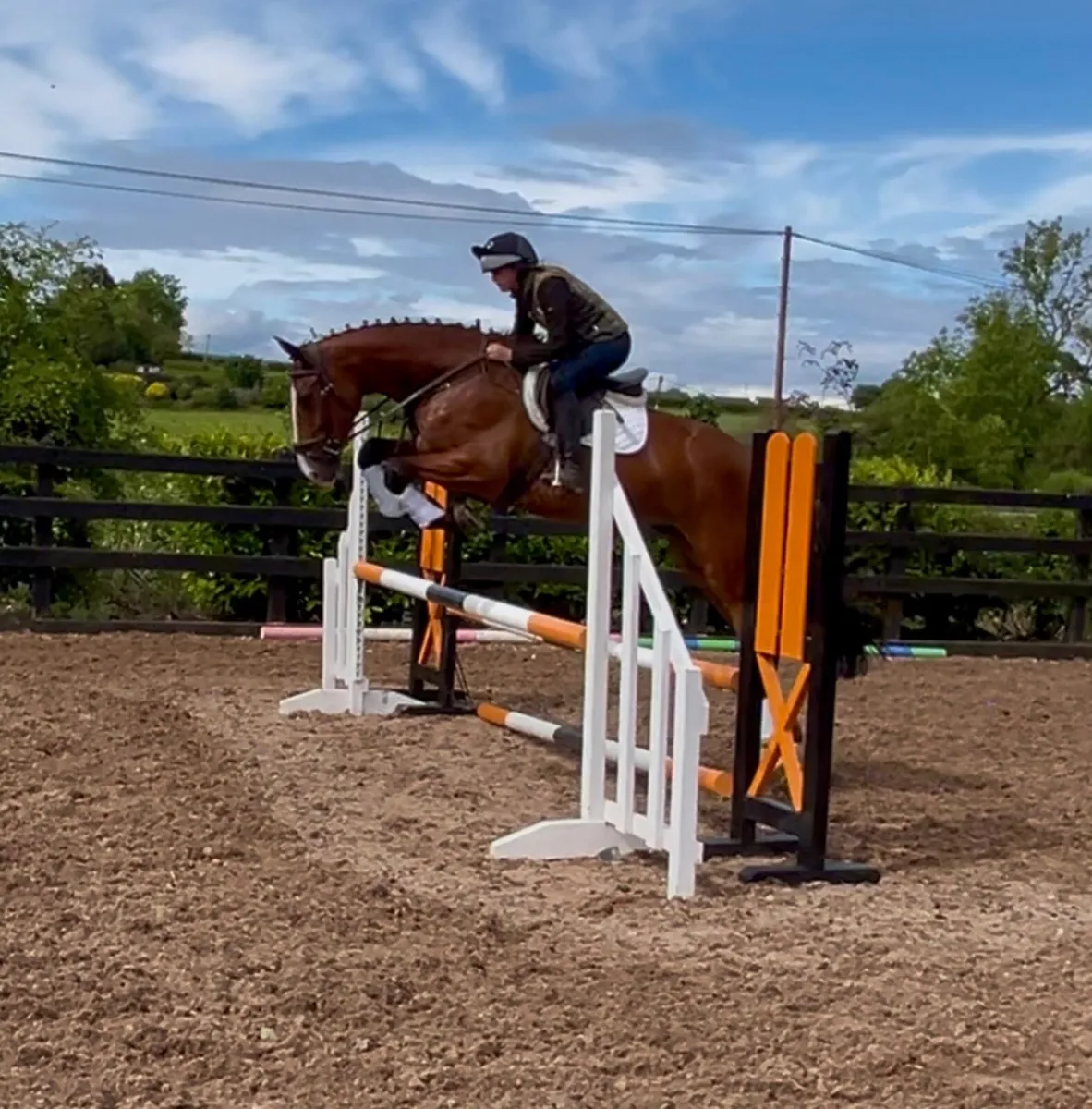 Lot 103 Cavan Horse and Pony Sales - Image 3