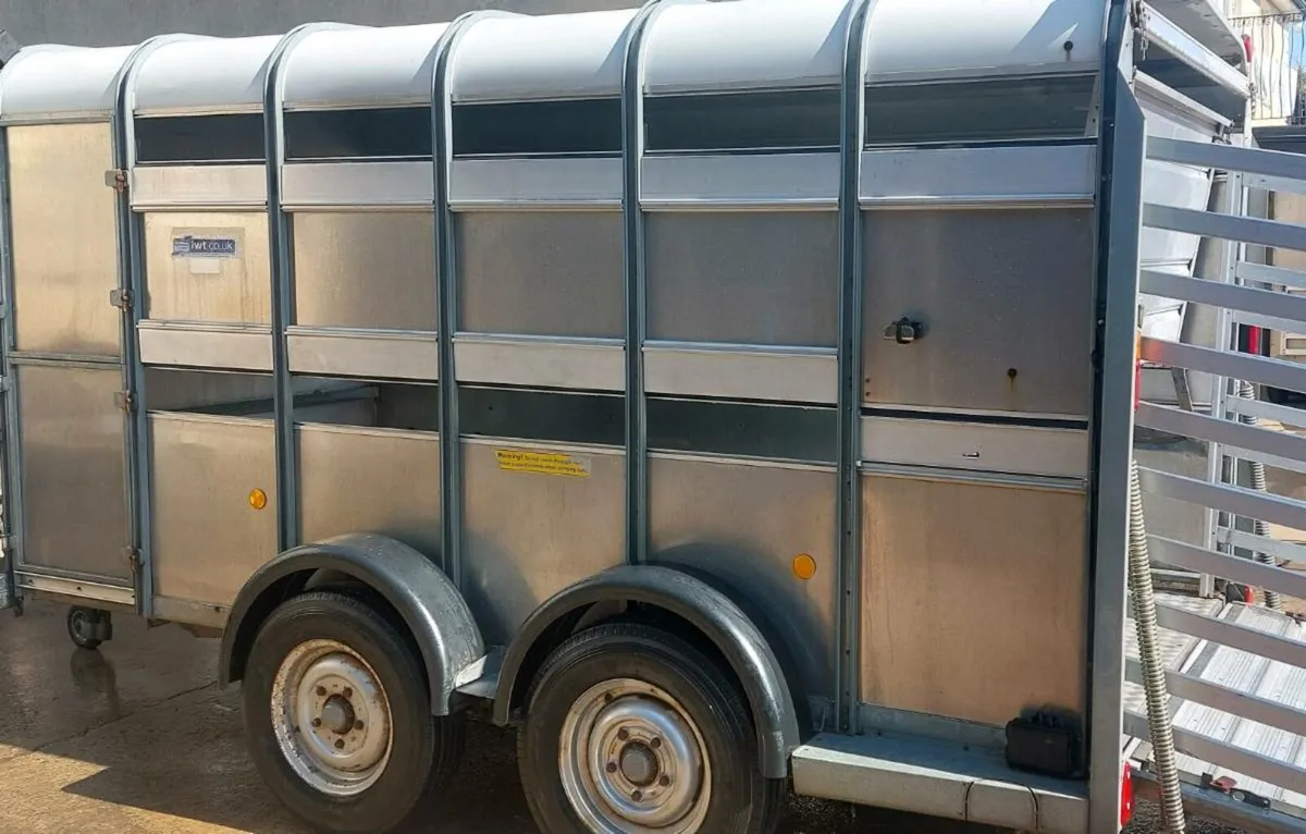Sheep/cattle trailer decks 12x6 - Image 1
