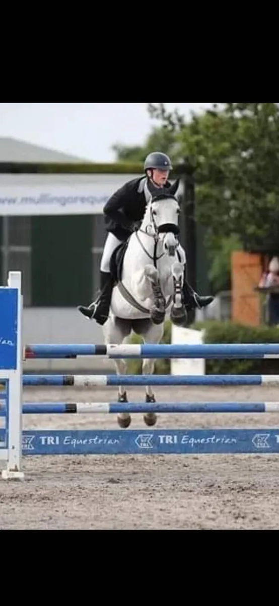 Breaking and Schooling livery - Image 2