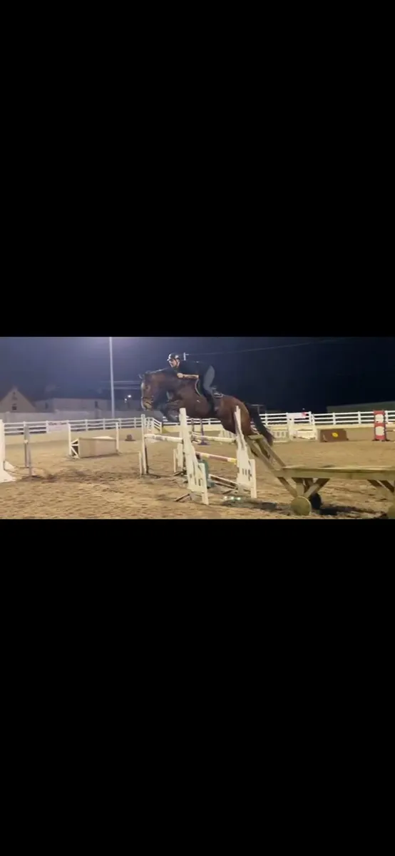 Breaking and Schooling livery - Image 3