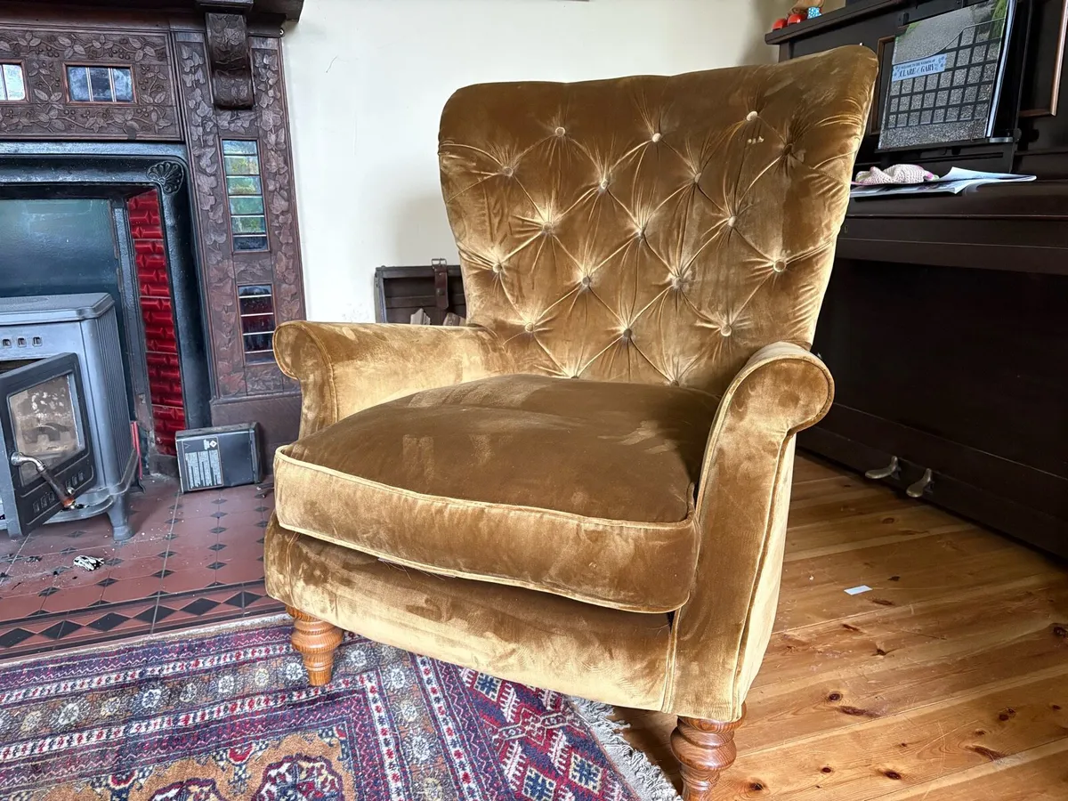 Velvet Arm Chair - Image 1