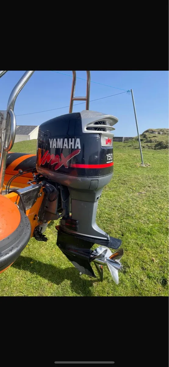 6.7 BWM Rib - Image 3